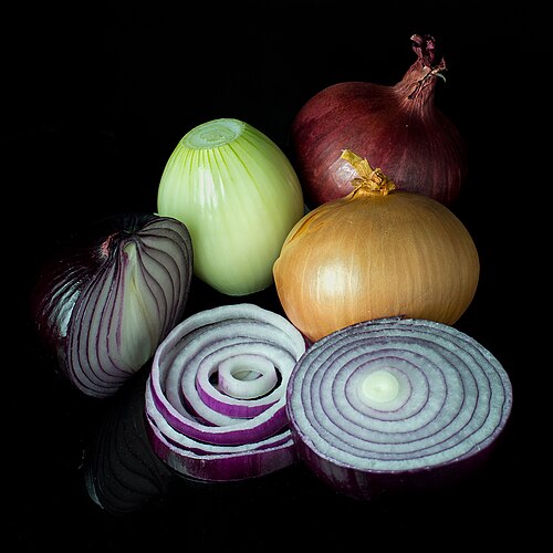 Onions (Basal)