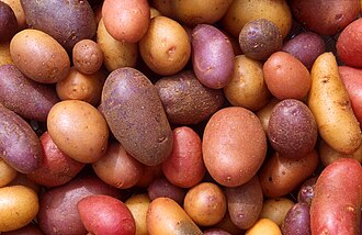 Potatoes (Batata)